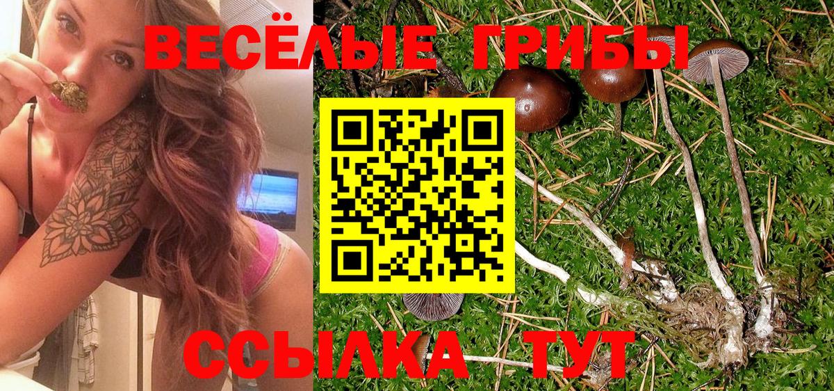 Гусиноозёрск  Галлюциногенные грибы мухоморы  где можно купить   Галлюциногенные грибы GOLDEN TEACHER  Вход с VPN 